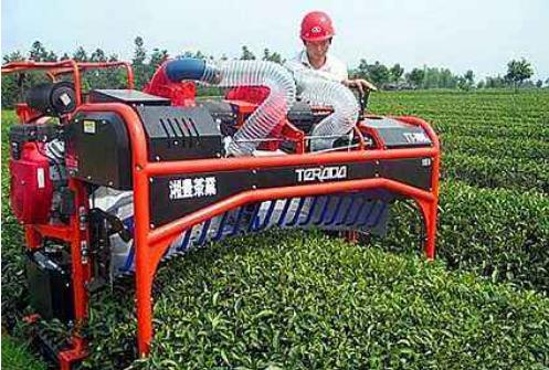 农业工程论文    茶园生产作为茶叶加工和经营的上游环节,其机械化