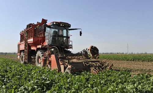 中国农业科学院甜菜研究所关于征求农业行业标准《甜菜全程机械化生产
